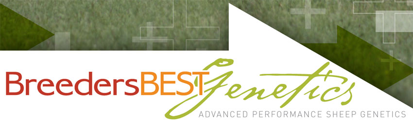 Breeders Best Genetics